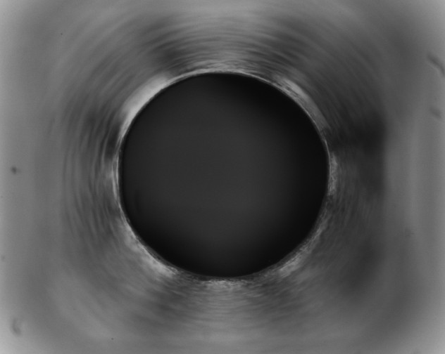 X0000103130812200808221152