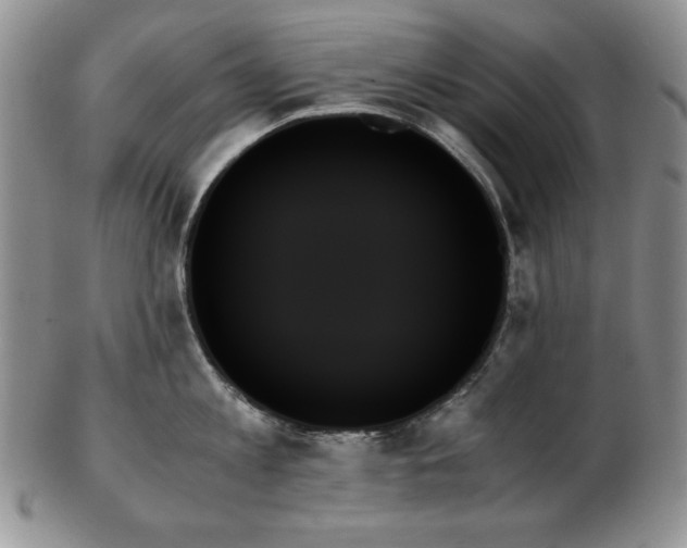 X0000103130813200808221152