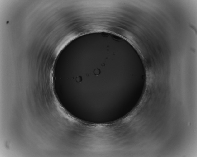 X0000103130814200808221152
