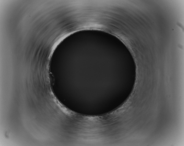 X0000103130816200808221152