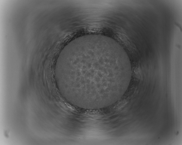 X0000103130817200808221152