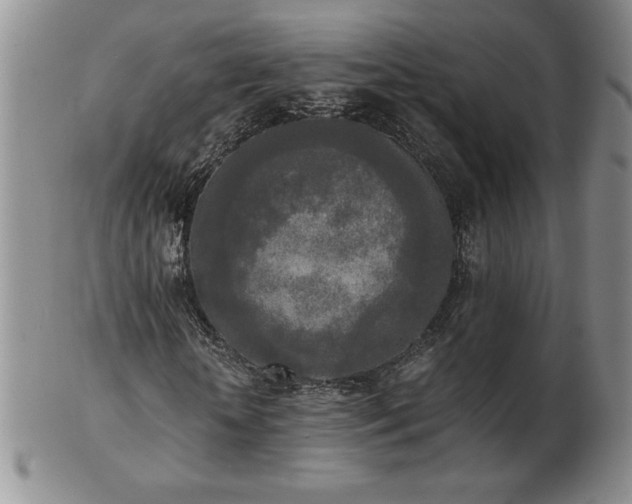 X0000103130818200808221152