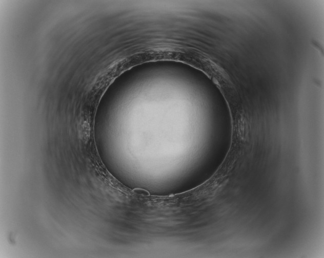 X0000103130821200808221152