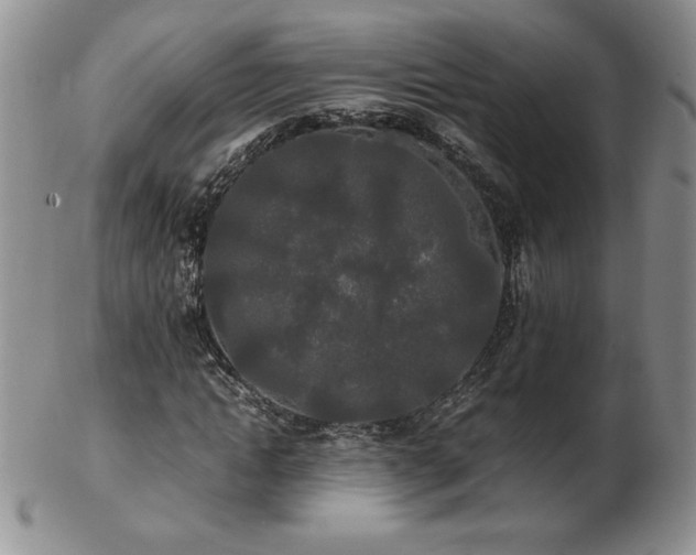 X0000103130822200808221152