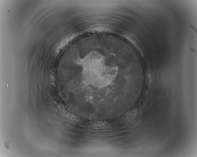 X0000103130823200808221152