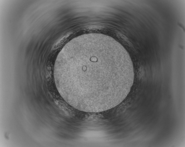 X0000103130824200808221152