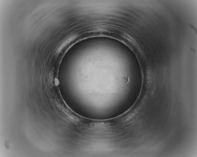X0000103130826200808221152