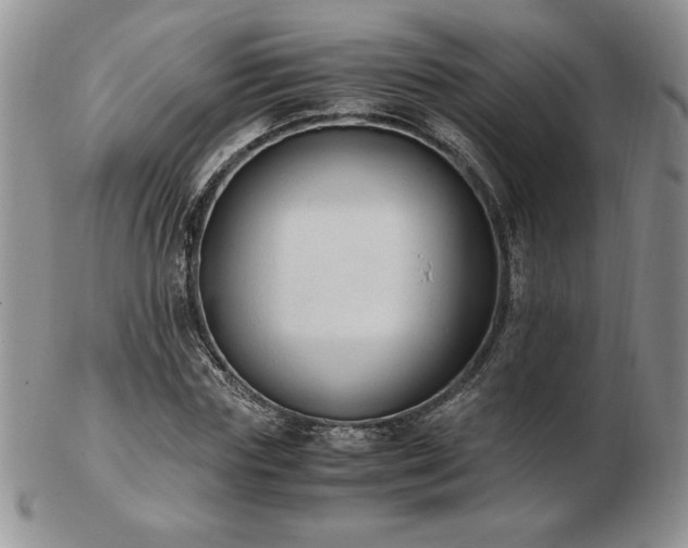 X0000103130827200808221152