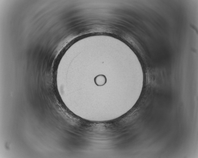 X0000103130828200808221152