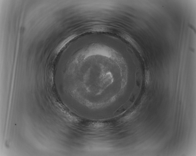 X0000103130829200808221152