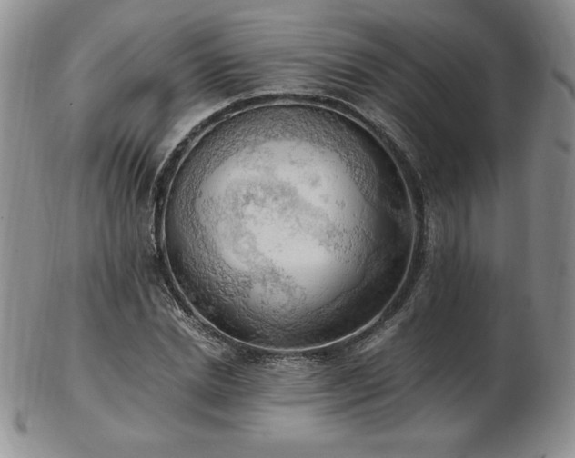 X0000103130830200808221152