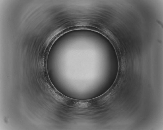 X0000103130831200808221152