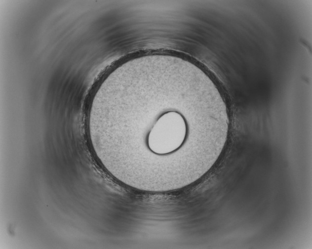 X0000103130832200808221152