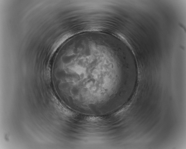 X0000103130835200808221152