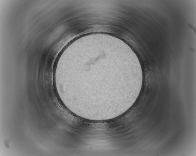 X0000103130836200808221152