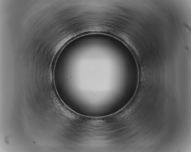X0000103130837200808221152
