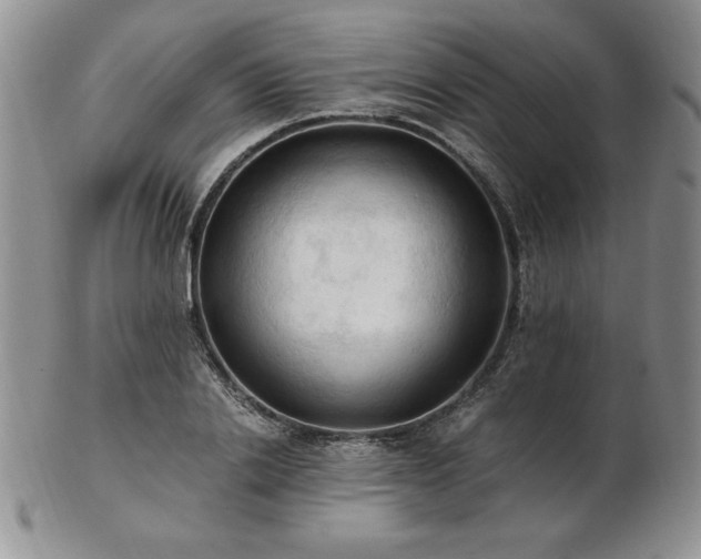 X0000103130838200808221152