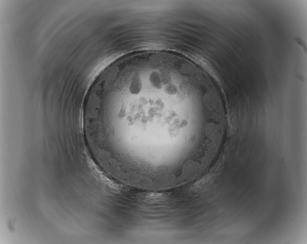X0000103130839200808221152