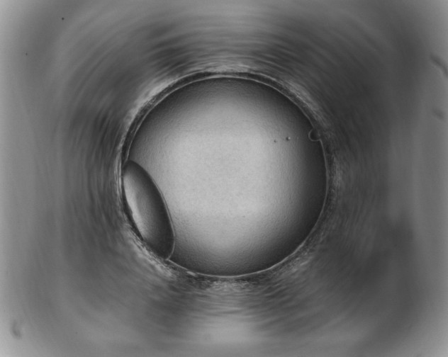 X0000103130840200808221152