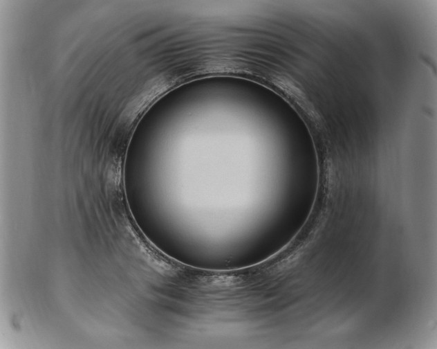 X0000103130841200808221152
