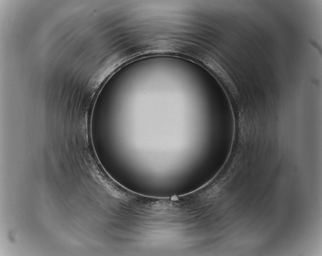 X0000103130842200808221152
