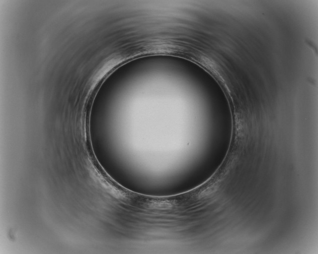 X0000103130843200808221152