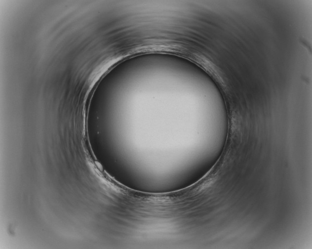 X0000103130844200808221152