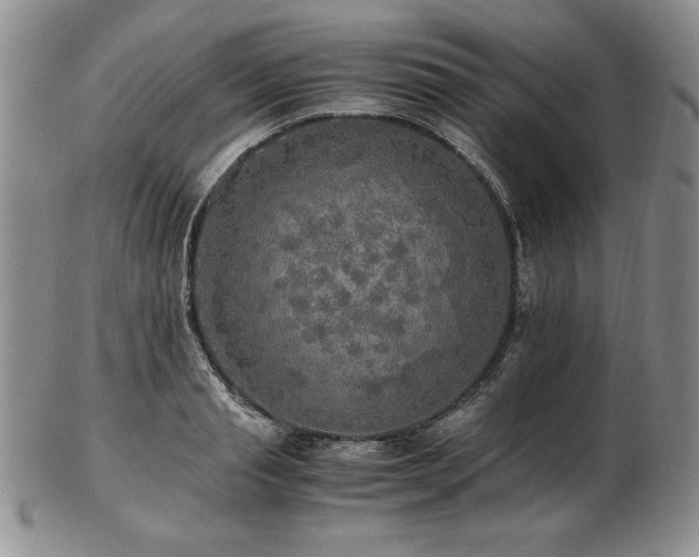 X0000103130845200808221152