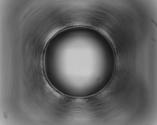 X0000103130847200808221152
