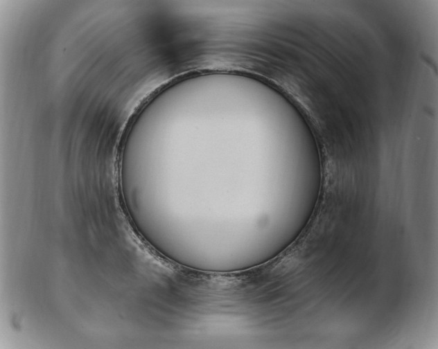X0000103130848200808221152
