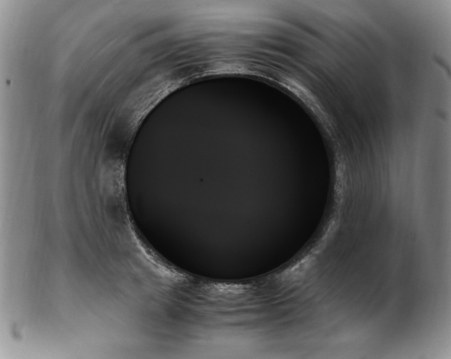 X0000103130849200808221152