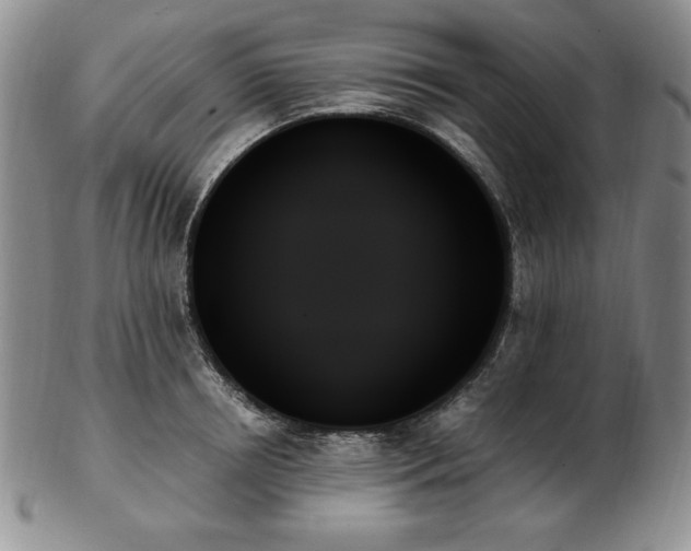 X0000103130850200808221152