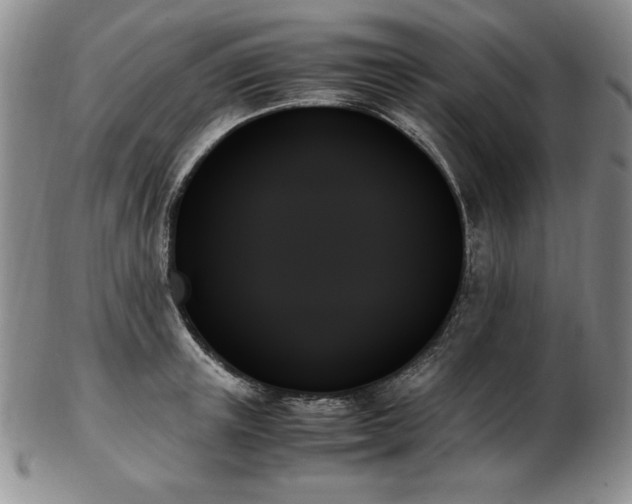 X0000103130851200808221152
