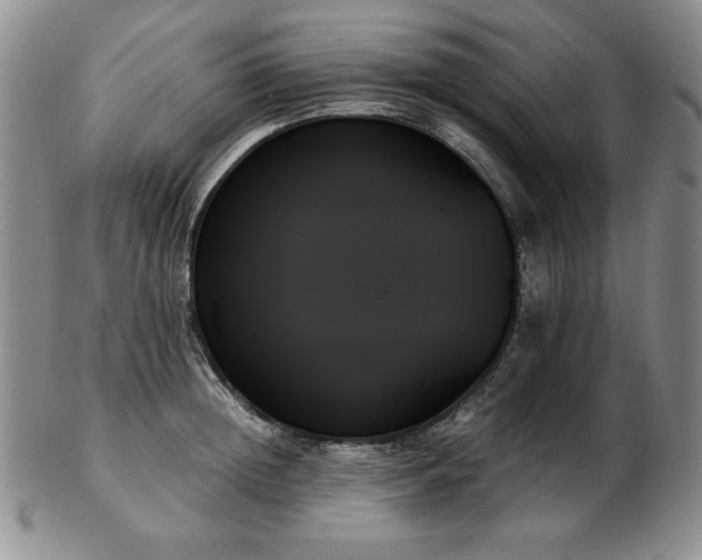 X0000103130852200808221152