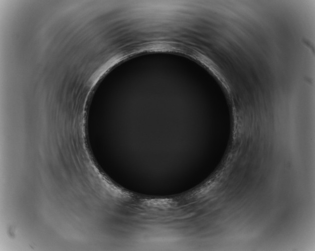 X0000103130853200808221152