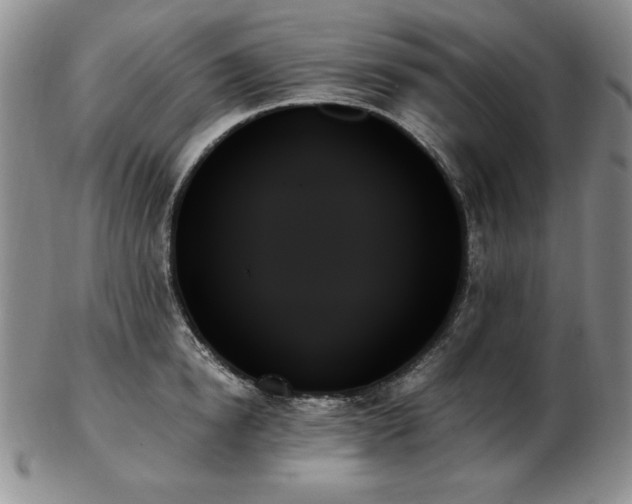 X0000103130854200808221152
