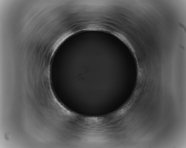 X0000103130855200808221152