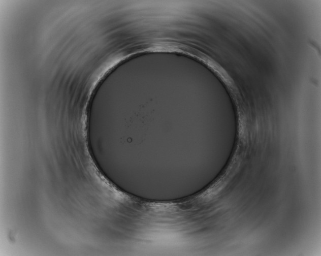 X0000103130856200808221152