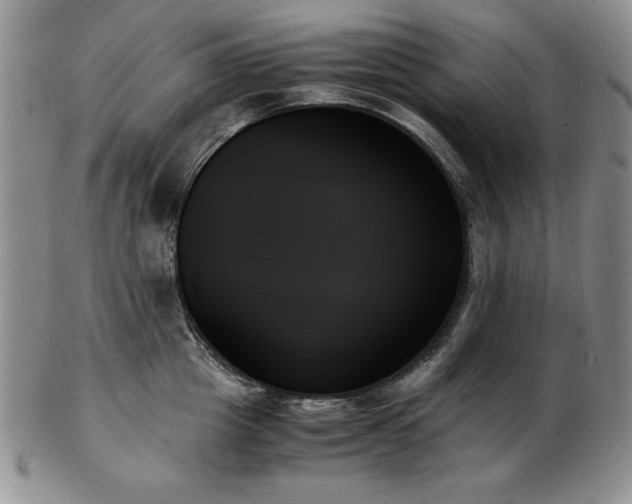 X0000103130857200808221152