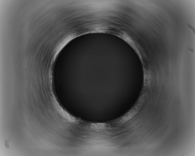 X0000103130859200808221152