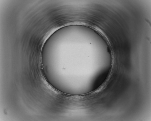 X0000103130860200808221152