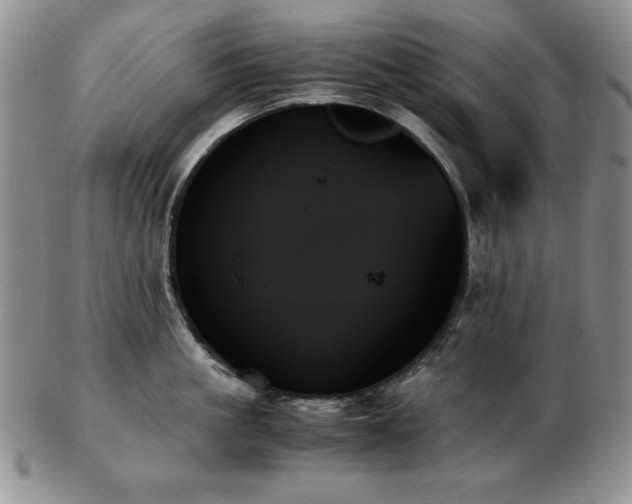 X0000103130861200808221152