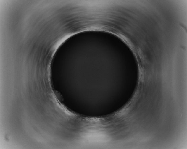 X0000103130862200808221152