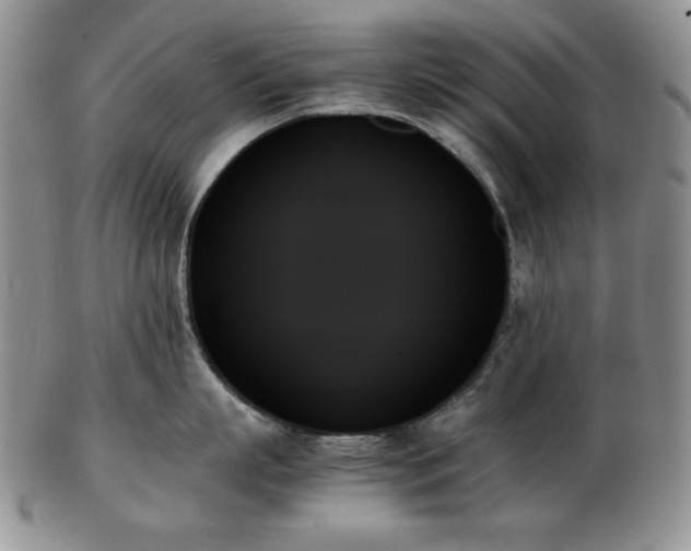 X0000103130863200808221152