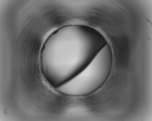 X0000103130864200808221152