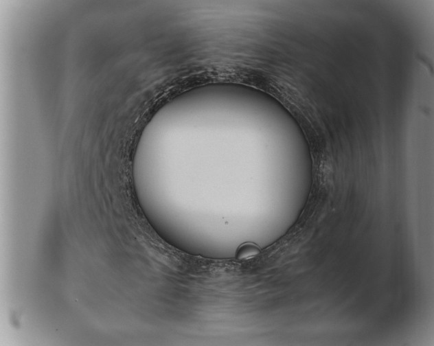 X0000103130865200808221152