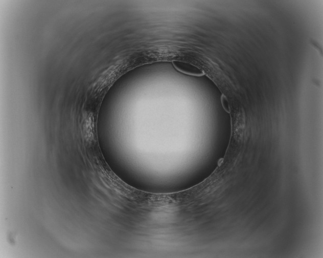 X0000103130866200808221152