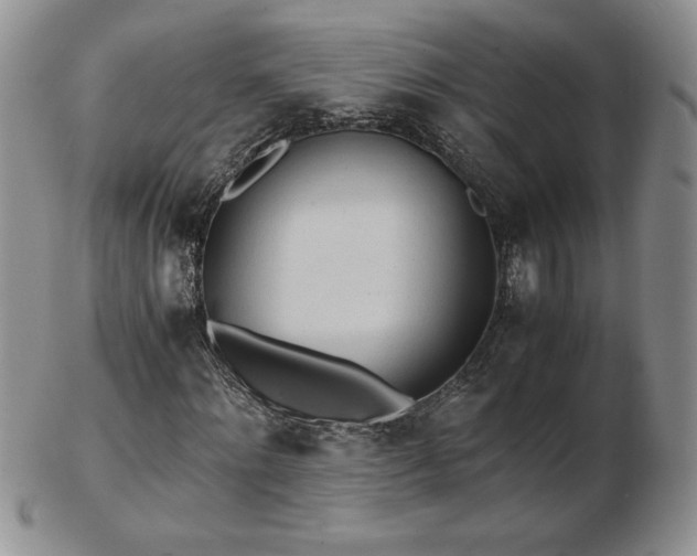 X0000103130868200808221151