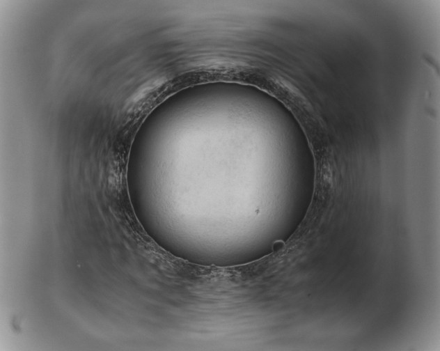 X0000103130869200808221151