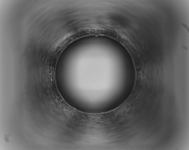 X0000103130870200808221151